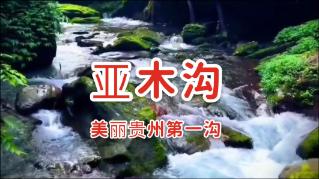 苏州科技大学超全考研调剂分析，含调剂人数、分数、调剂来源等