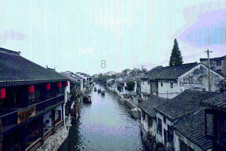 张家口市特奥选手喜获全国特奥雪鞋走比赛一金三银三铜